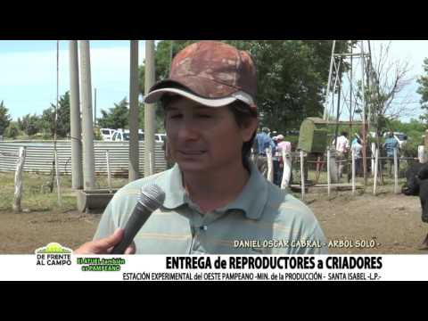 DE FRENTE AL CAMPO junto al SECTOR GANADERO -DANIEL OSCAR CABRAL-