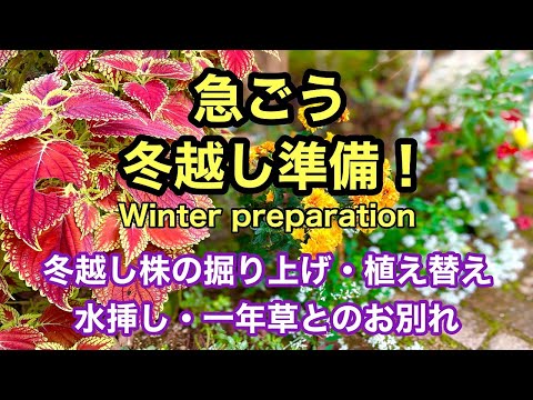 こうやって観賞用の草を冬に越すことができます トピックス