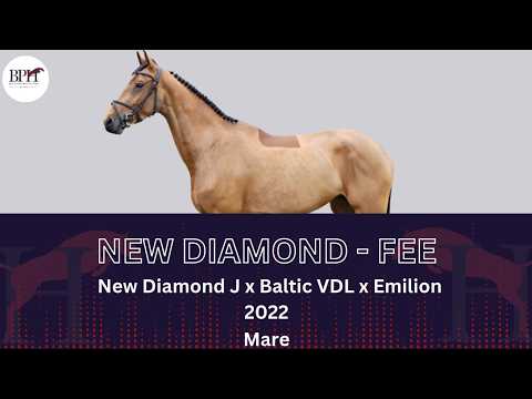 New Diamond - Fee