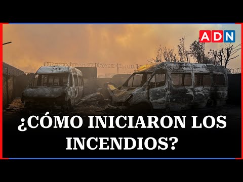 Concejala explica cómo fue el origen de los incendios forestales en la región de Biobío