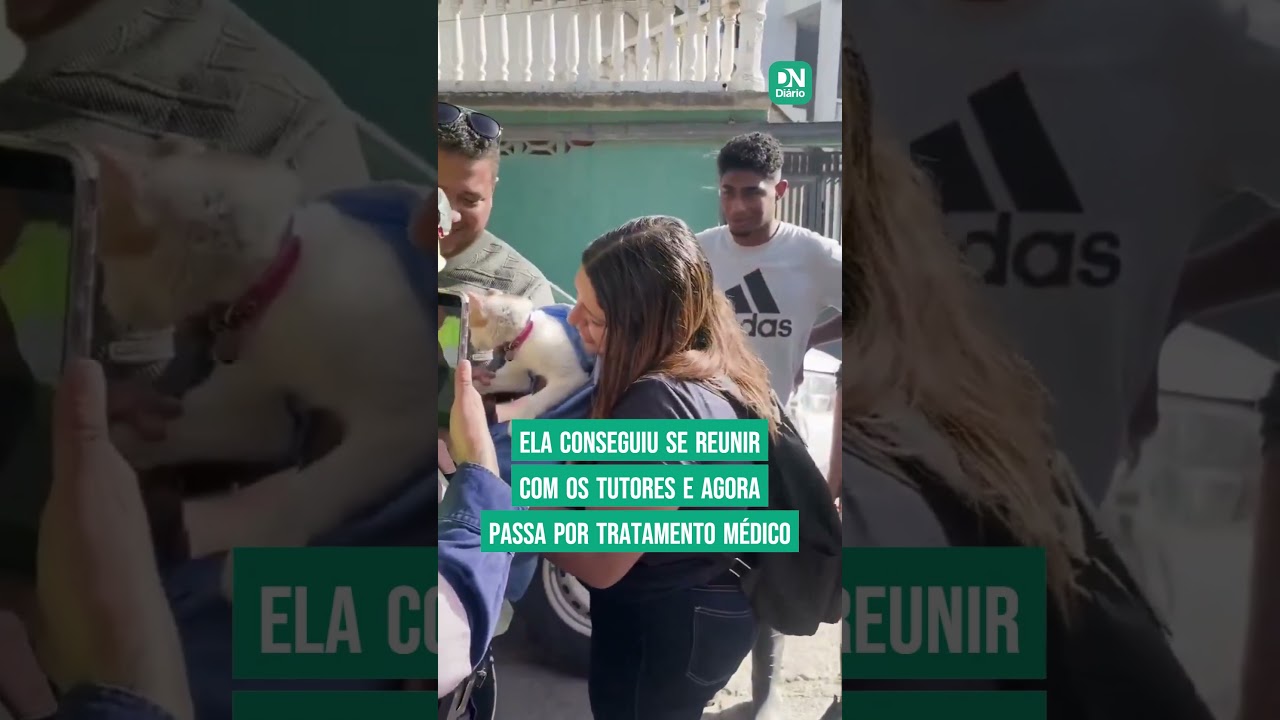 Imagem da notícia Gatinha é resgatada após 23 dias soterrada em escombros de terremotos na Venezuela