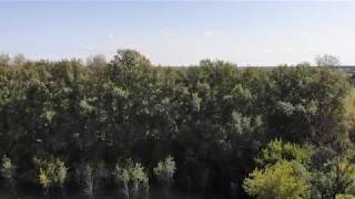Морозово Парк #1