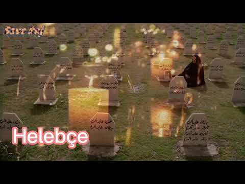 @Helebçe Komkujiyeke ku dîrok wê ji bîr neke‎حلبجة .مجزرة لن ينساها التاريخ Bave Roj