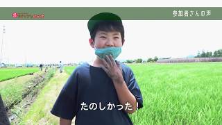 2020/06/30放送・知ったかぶりカイツブリにゅーす