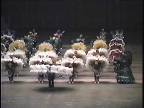 1996 Duffy String Band - Convention Hall