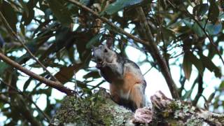 Selva Negra Nature Tour