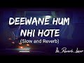 Deewane Hum Nhi Hote Slowed Reverb