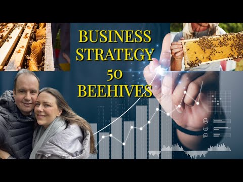 , title : '50 beehives in 4 months | The business plan! | PT4'