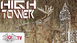 HIGHTOWER: A Seven Year Quest!