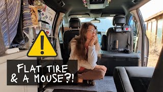 Van Life Chaos Strikes: Flat Tire Repair & a Mouse Inside My Minivan Camper for the First Time 😩