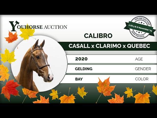 Calibro