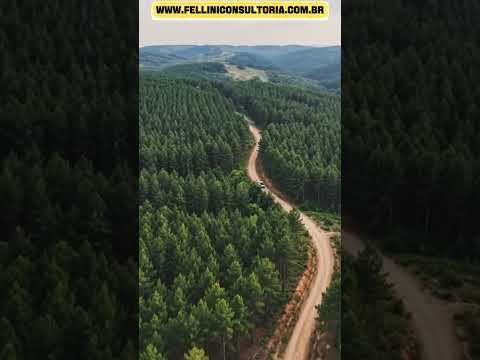 2.265 HECTARES DE MULTI PERFIL NO RS - ENCRUZILHADA DO SUL RS