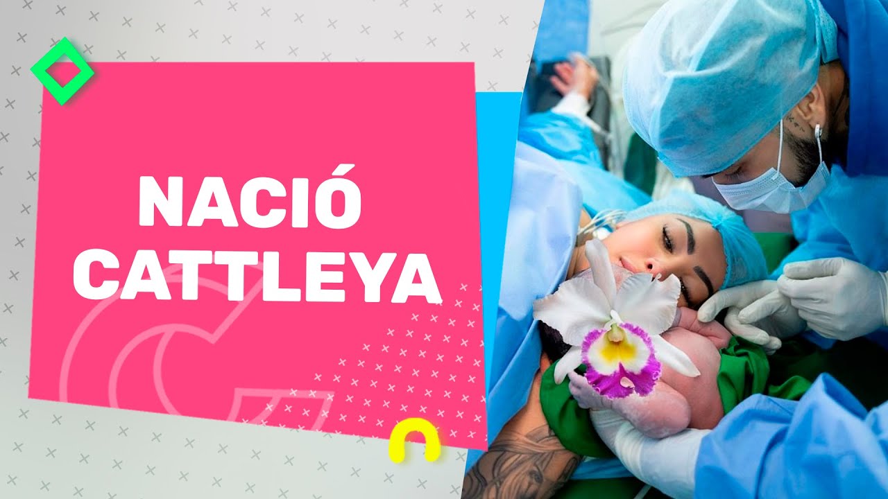 Watch Nació Cattleya, La Bebé De Anuel AA Y Yailin | Casos Y Cosas Now Nació Cattleya, La Bebé De Anuel AA Y Yailin | Casos Y Cosas