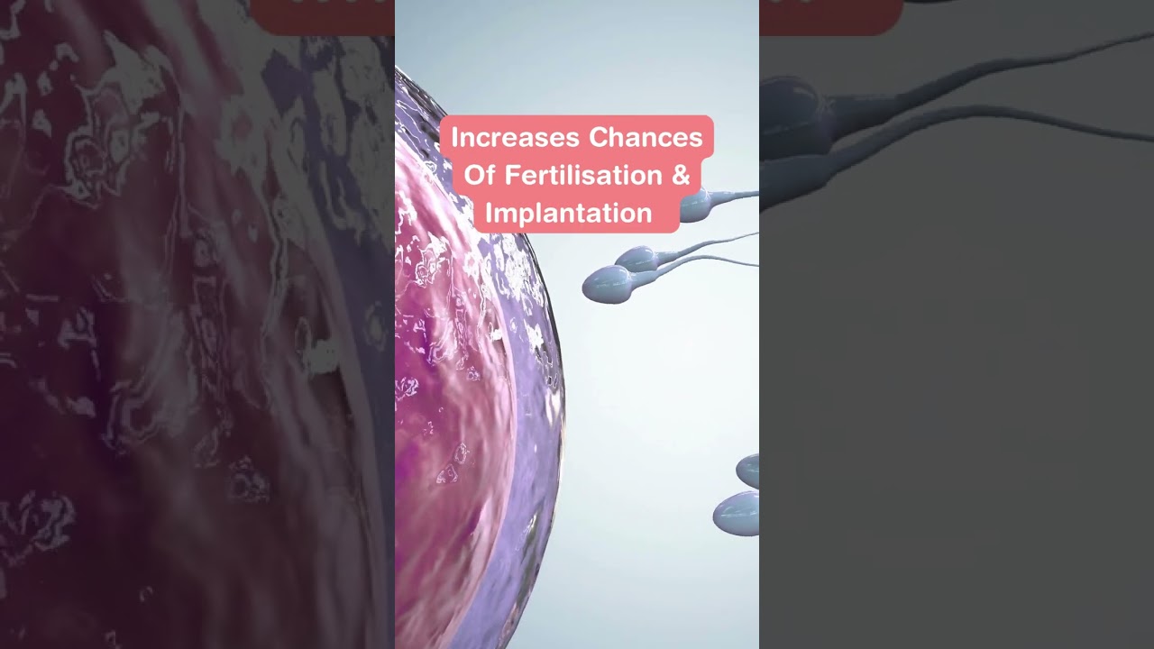 Discover 5 incredible ways CoQ10 supplement supports fertility!