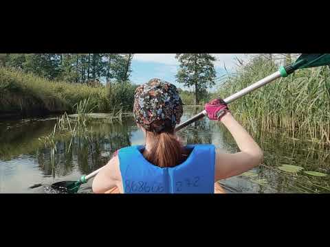 LTD baidares 2021 07 31