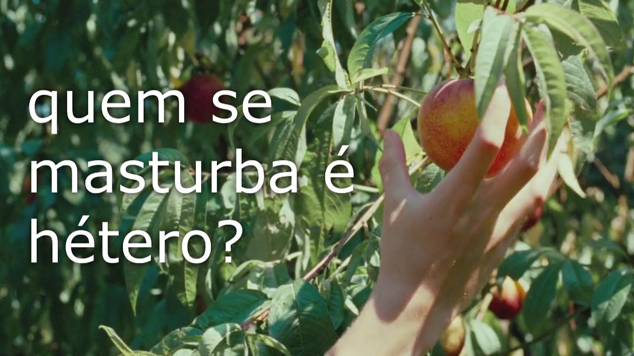 sempre acaba voltando