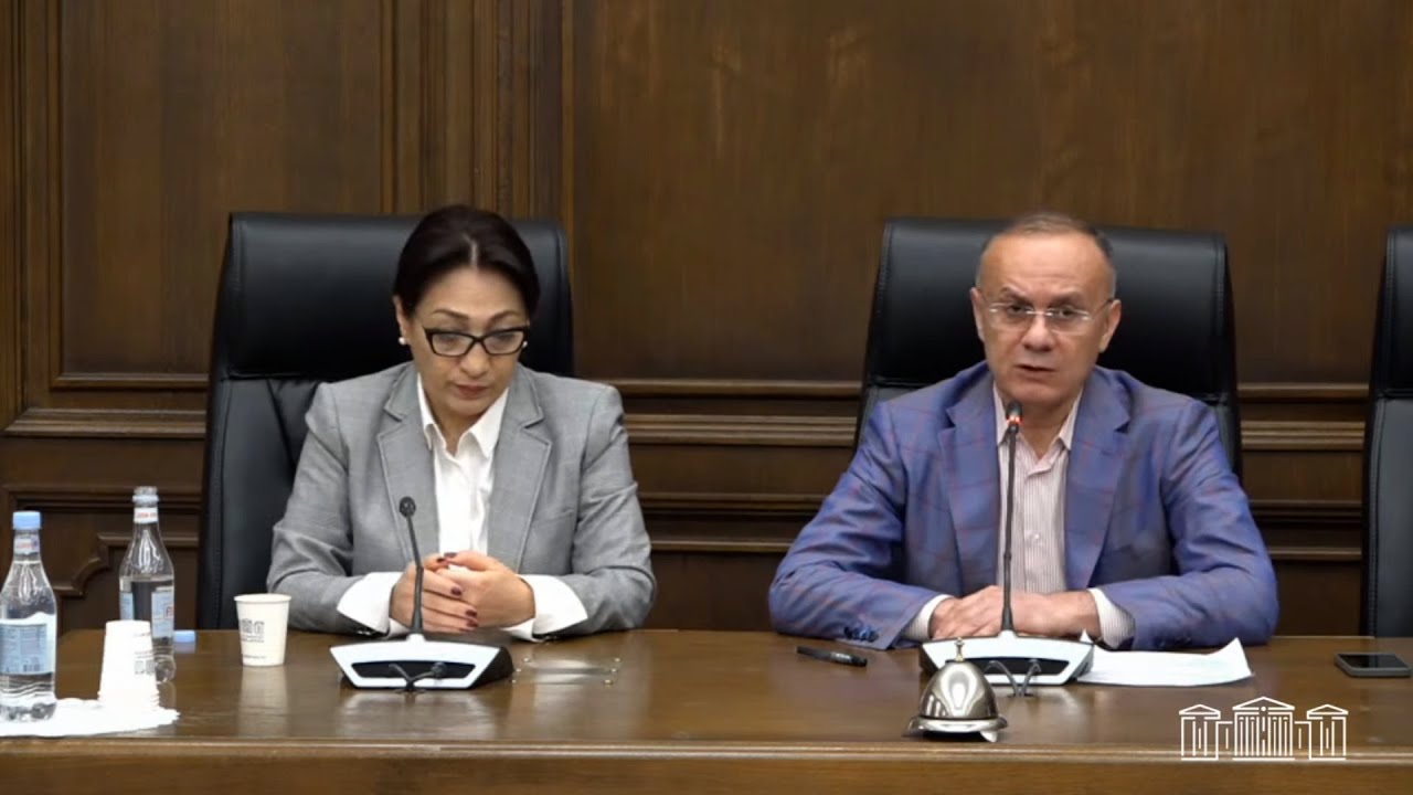 Ժողովուրդը կարող է իր ռազմաքաղաքական ունակություններով կազմակերպել անվտանգությունը. Սեյրան Օհանյան