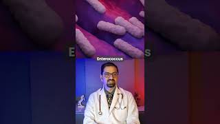 Download lagu UTI Microbiology | E. Coli bacteria, Klebsiella & More mp3