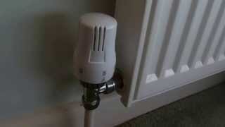 How to fix a thermostatic radiator valve if your radiator is not heating up.