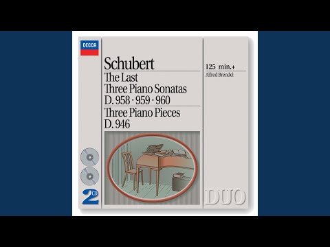 Schubert: Piano Sonata No. 19 in C Minor, D. 958 - I. Allegro