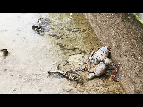 Paris Canal Is Drained and the Finds Are Unreal