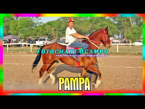 PAMPA - San Bernardo - Chaco 29/10/2023
