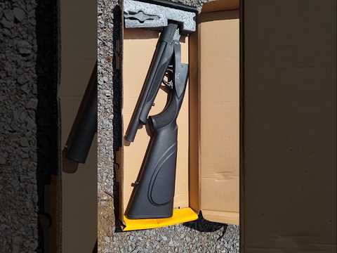 Shooting the Charles Daly Semi-auto Shotgun