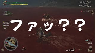 MMワイルズ｜何してるの？？