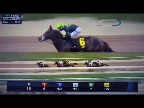 TOKYO CITY CUP (G STAKES) 4/8/18 - HOPPERTUNITY !!