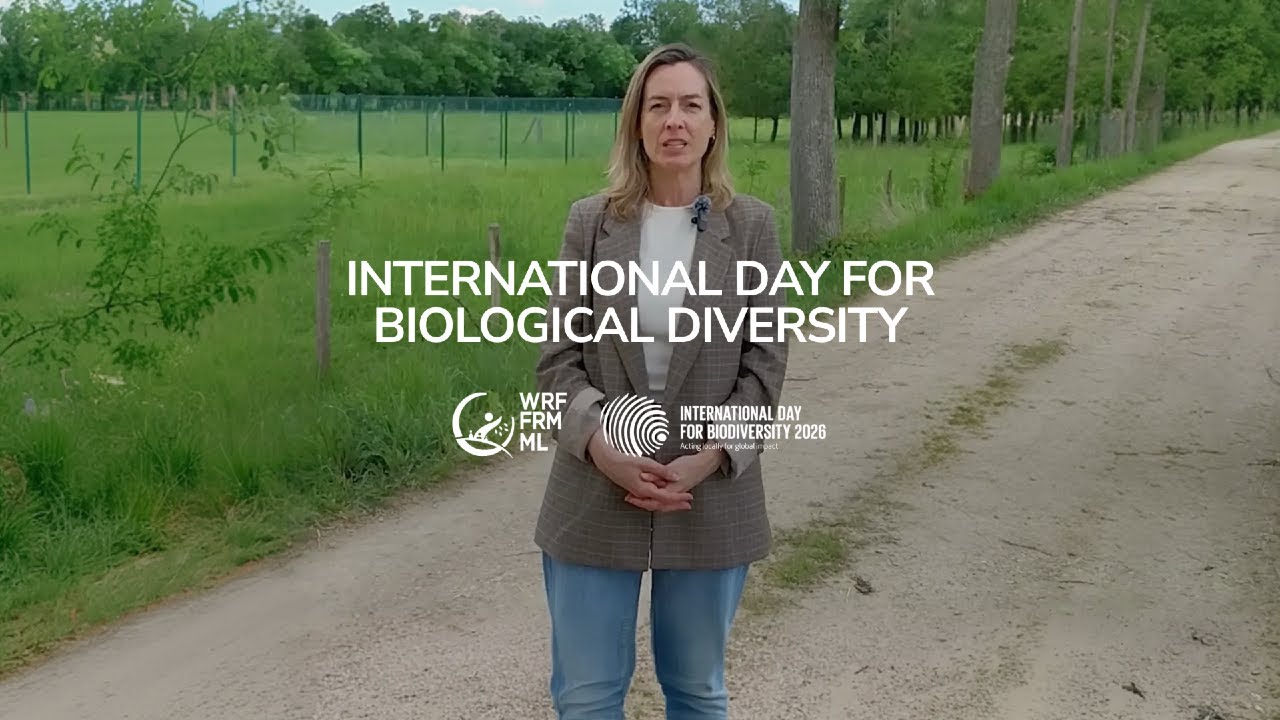 International Day for Biological Biodiversity