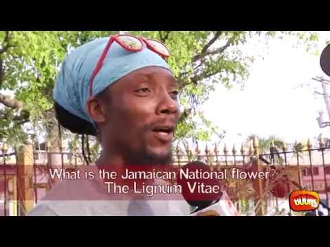 BOOM TV Season 2 BOOM KNOWS Do You Know? Episode 1