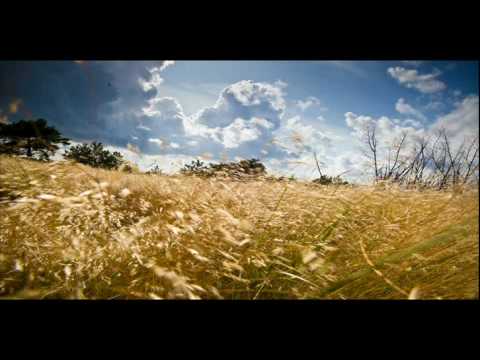 Heikki L & Flight - Amor De La Discoteca