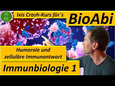 Immunobiology 1: Humoral and cellular immune response - application tasks analyzed - Fit for the ...