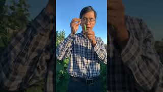 200718 如何種菜成功