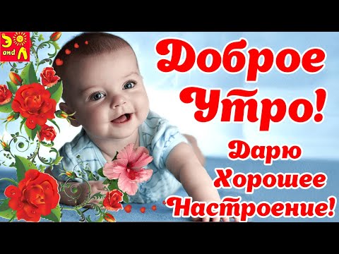 Доброе утро! Хорошего Дня! Зарядись Позитивом на весь День! Дарю хорошее настроение! С добрым утром!