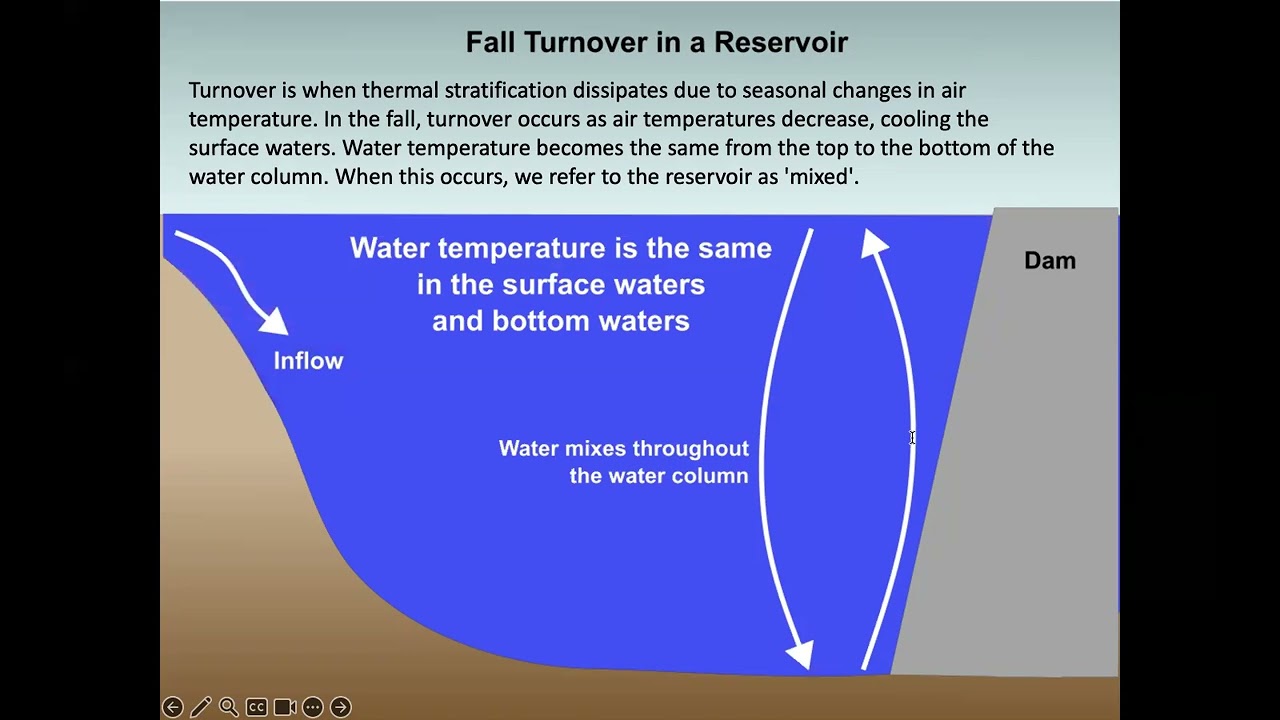Macrosystems EDDIE Module 9: Water Temperature