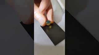 Download lagu A Blue Amber Test #amber #fossils #amberwithinsects #insectsinamber mp3 Download lagu A Blue Amber Test #amber #fossils #amberwithinsects #insectsinamber mp3