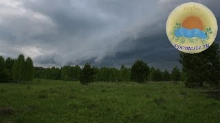 Почему мы уехали из поместья / Домашнее хозяйство в родовом поместье