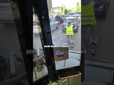 Soy ciego y si no lo veo no lo creo, pero este conductor tampoco 🚌🐶