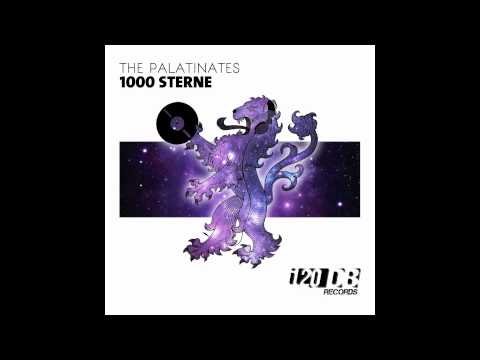 THE PALATINATES - 1000 STERNE (HOCHANSTAENDIG REMIX)