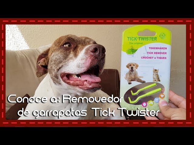 Vídeo relacionado con Herramienta De Eliminación De Garrapatas: Removedor De Tic Portátil Y De Acero Inoxidable Para Humanos Y Mascotas | Pen A Impermeabilizar Las Pulgas De Pulgas Y Garrapatas Para Perros, Y