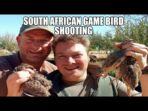 download lagu mp3 mp4 Game Birds South Africa, download lagu Game Birds South Africa gratis, unduh video klip Game Birds South Africa