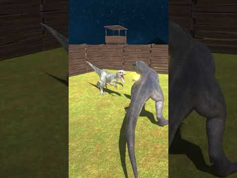 Giganotosaurus vs Indominus Rex - Animal Revolt Battle Simulator #shorts #dinosaurs