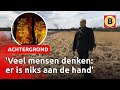 Jaar na de Peelbrand: angst regeert nog bij omwonenden | Omroep Brabant
