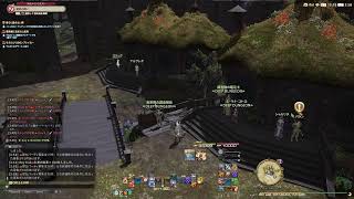 死者ソロ初踏破目指してっ！#ff14