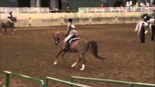 preview picture of video 'JTR Championship Jerusha on Patriot VF'