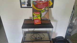 The actual reveal of the 10 gallon set up and it's new inhabitants Take 2