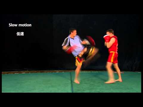3d duan Wushu Sanda