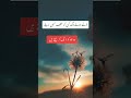 Tute Hue Log Kisi Ko Taklif Nahin Dete Shorts Shayari Short