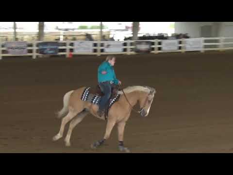 190523 Novice Alexis Mann on Stepin Up